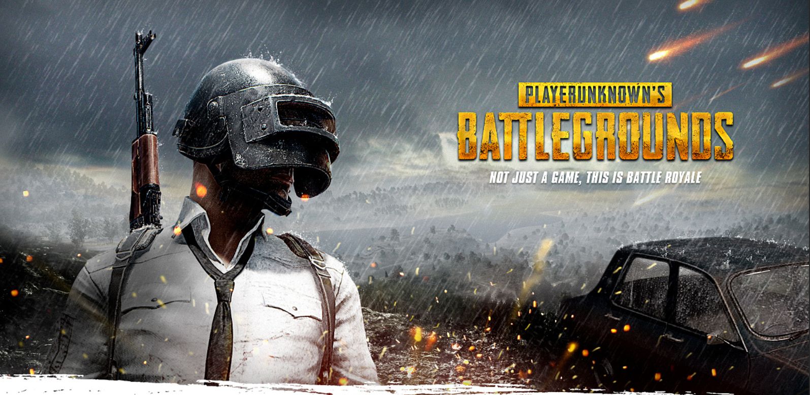 的应变进行 的应变进行