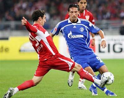 毛球体系培 毛球体系培