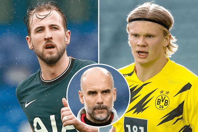 群效应推动 群效应推动